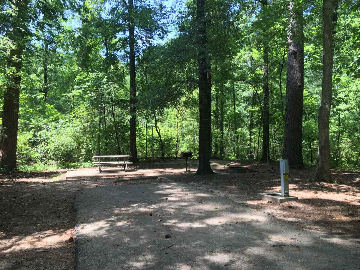 Standard Campsite 41 in the Squirrel Haven Camping Area.