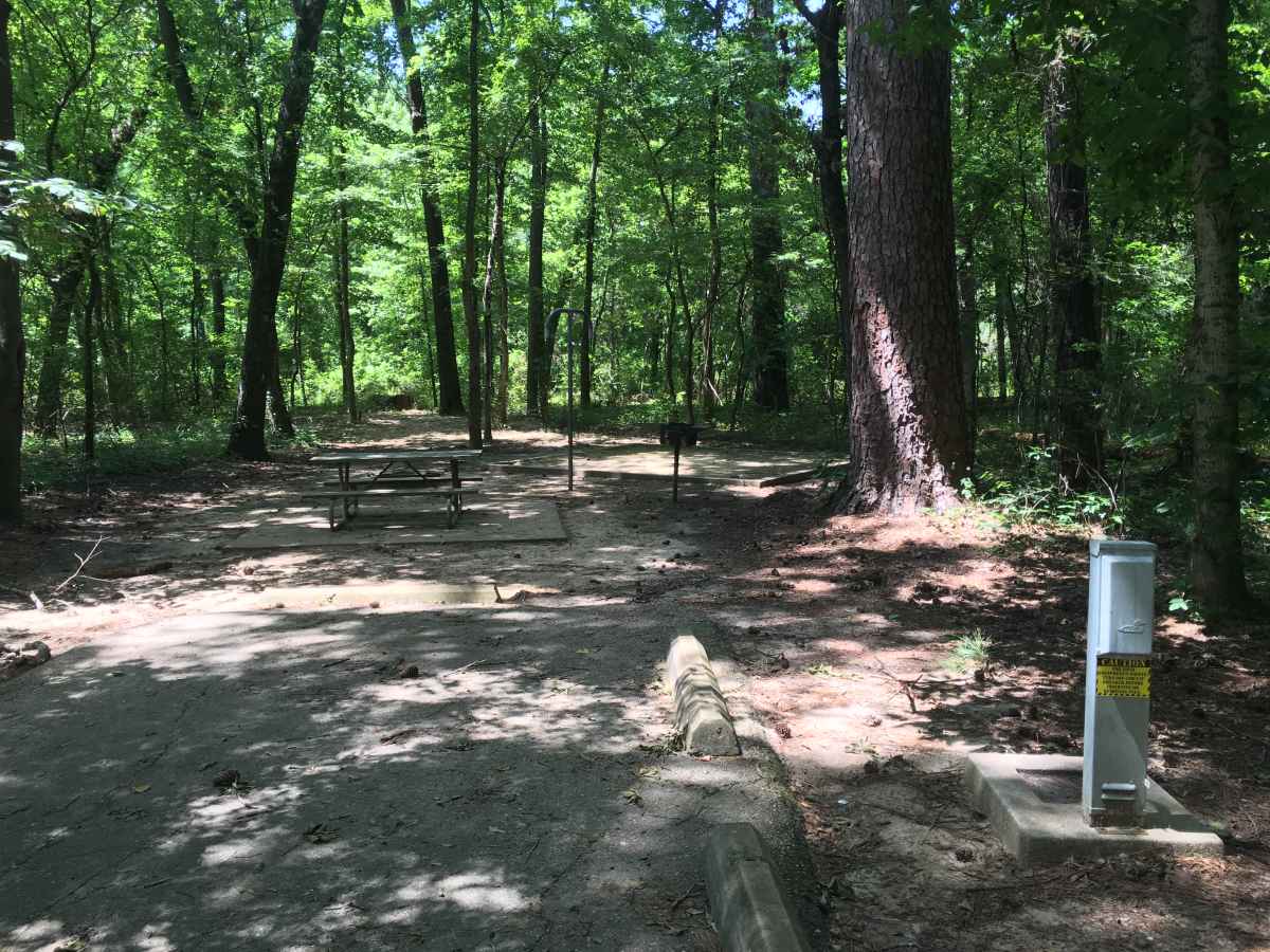 Standard Campsite 40 in the Squirrel Haven Camping Area. 