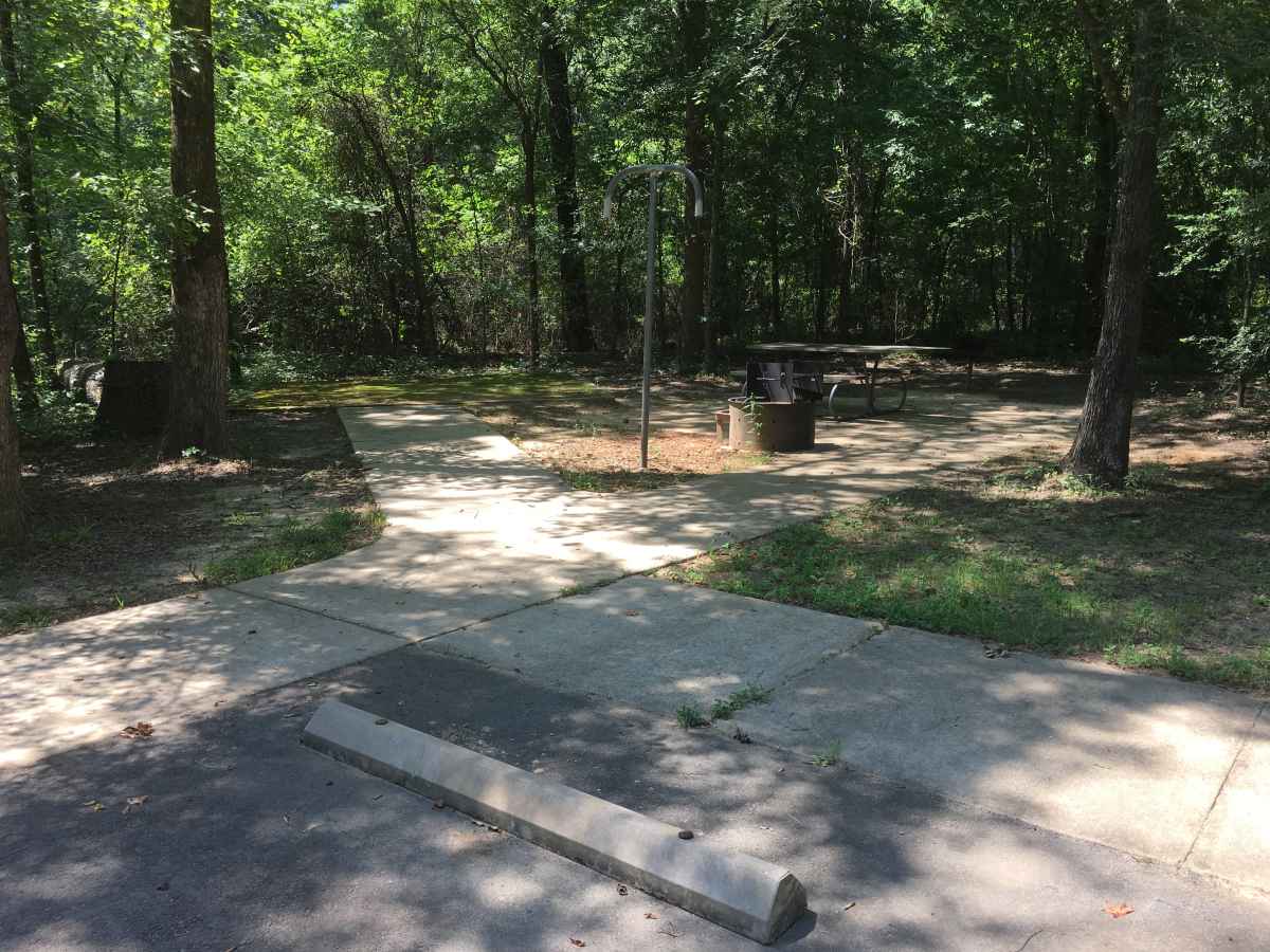 Standard Campsite 38  in Squirrel Haven is wheelchair friendly.
