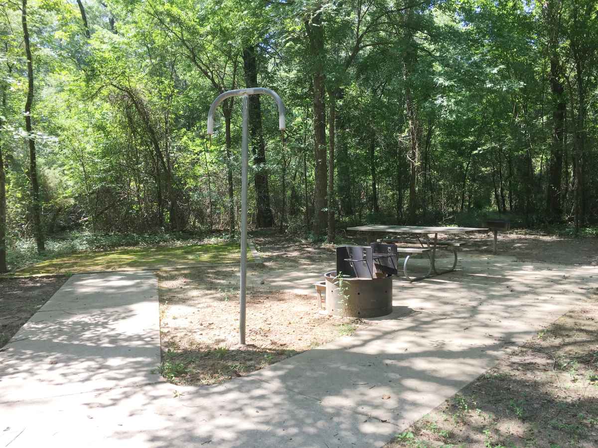 Campsite 38 in Squirrel Haven, has a picnic table, fire ring and an upright grill designed to be usable for people in wheelchairs.