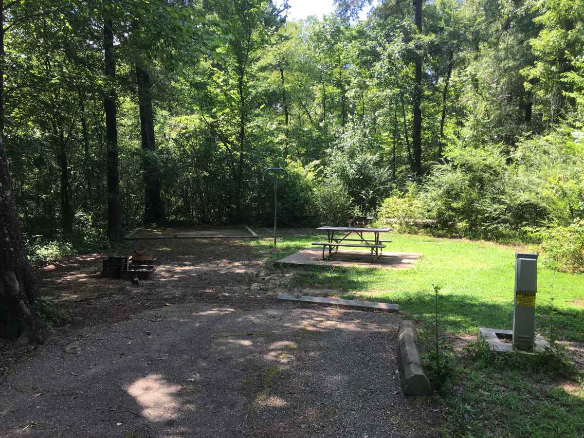 Campsite 37 in Squirrel Haven. All Standard Campsites have a 30-amp electric hookup, water. a picnic table. fire ring, upright  grill and a lantern post 