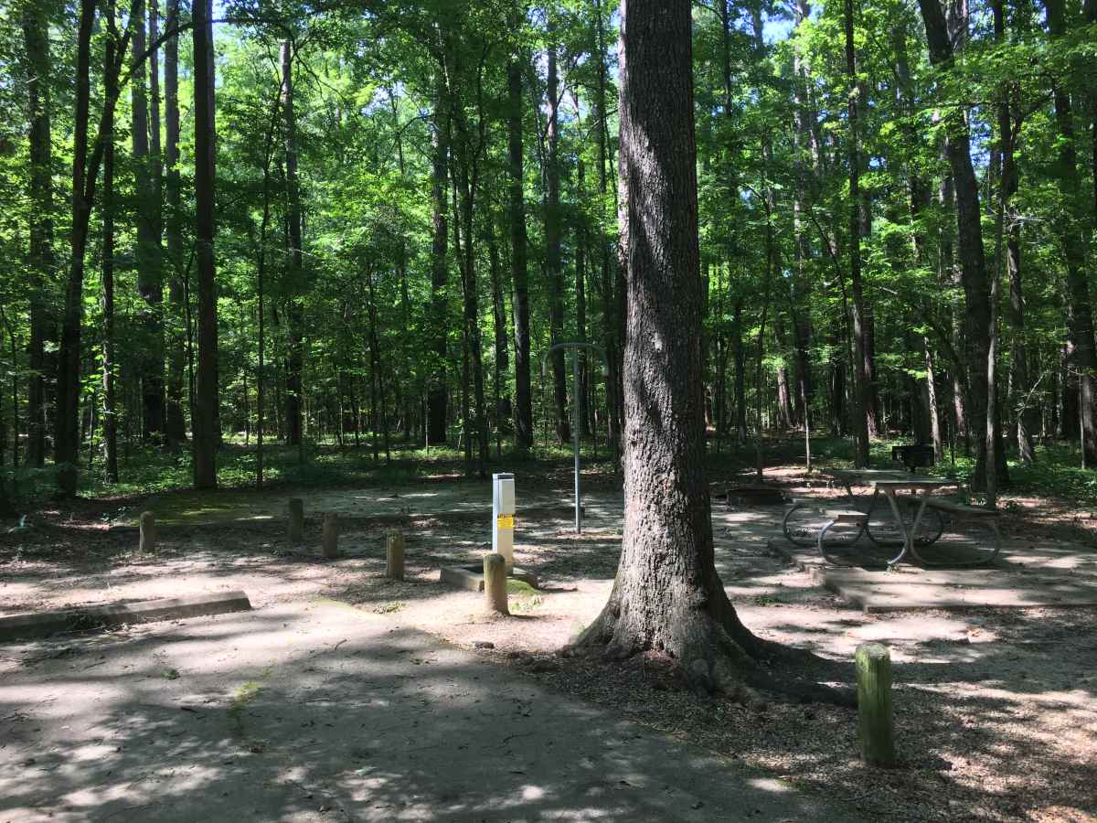 Standard Campsite 30 in the Armadillo Run Camping Area. 