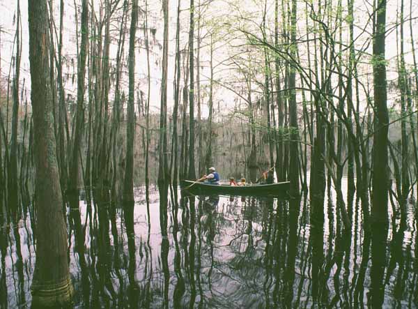 caddo_canoe600.jpg