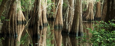 Caddo-Lake_0014.jpg