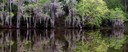 Caddo-Lake_0015.jpg
