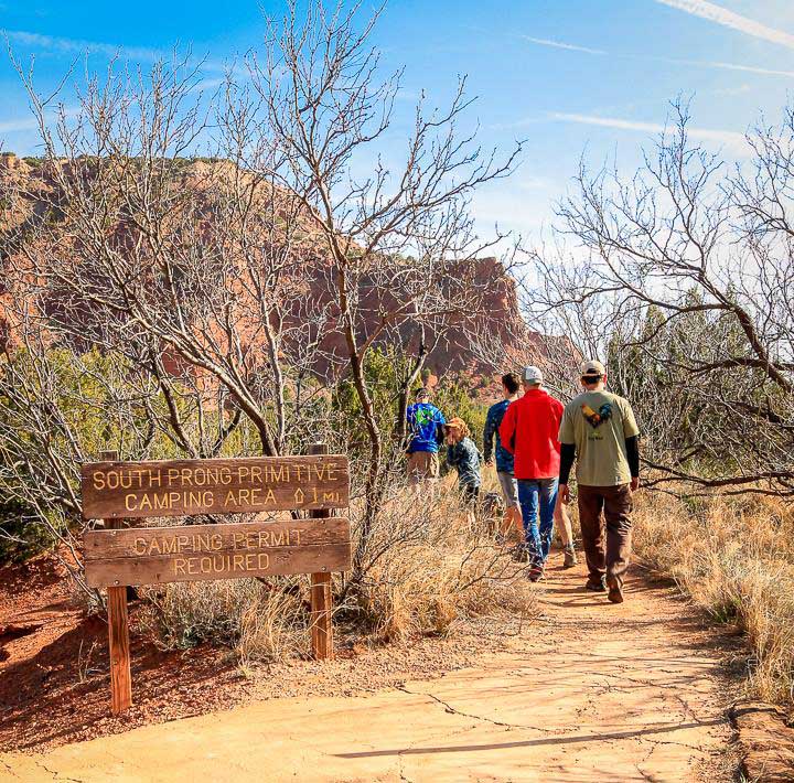 Trail to South Prong