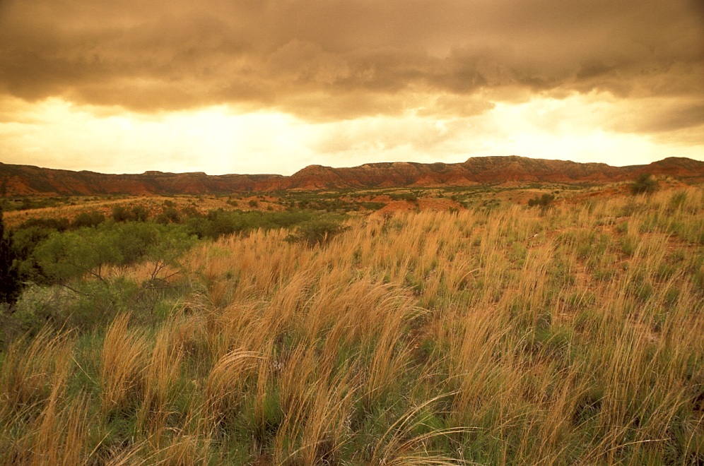 Caprock Canyon02.jpg
