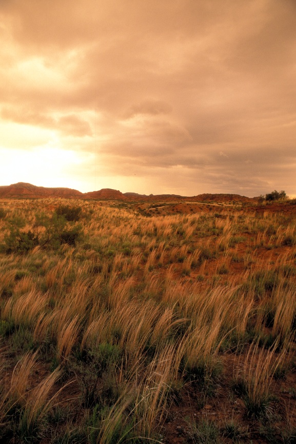 Caprock Canyons SP949_105.jpg