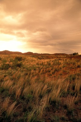 Caprock Canyons SP949_105.jpg