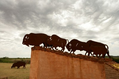 Caprock Canyons State Park-WU8E4942.jpg