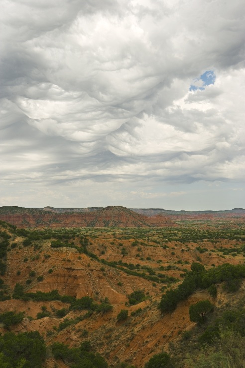 Caprock Canyons State Park-WU8E4943.jpg