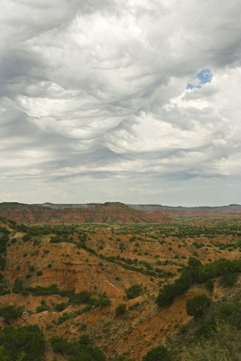 Caprock Canyons State Park-WU8E4943.jpg
