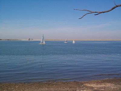 sailboat.jpg