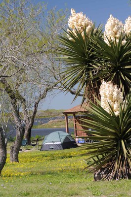 View of campsite by the lake