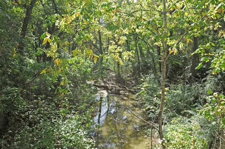 Creek flowing through wooded area.