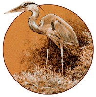 painting of tall bird