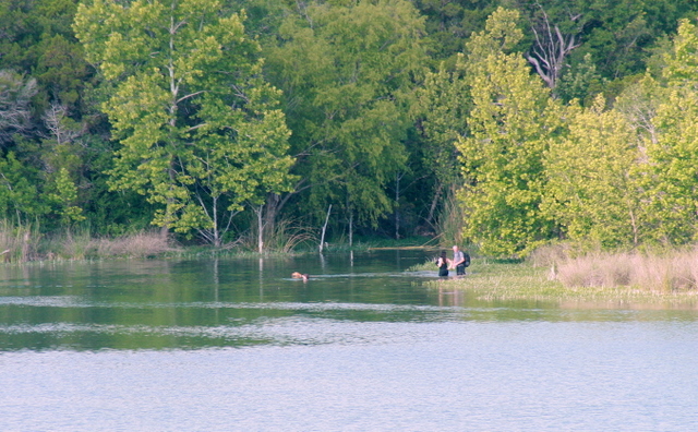 IMG_0003.JPG