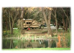 campfee_02_01_01.jpg