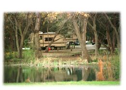 campfee_02_01_01.jpg