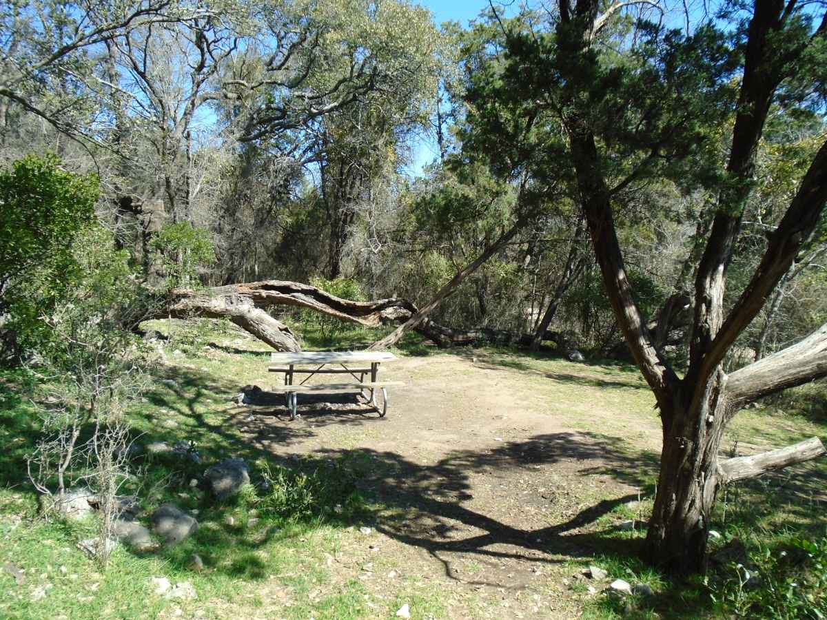 There are three picnic tables, a fire ring, lantern post and lots of trees.