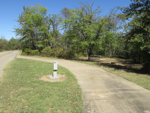 Site #29, Bright Star Camping Area