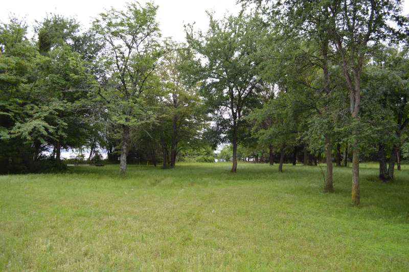 The middle of the Group Camping Area.