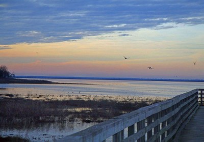 Sunset view from a fishing pier
