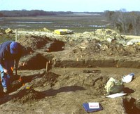 Man working at an archeology site