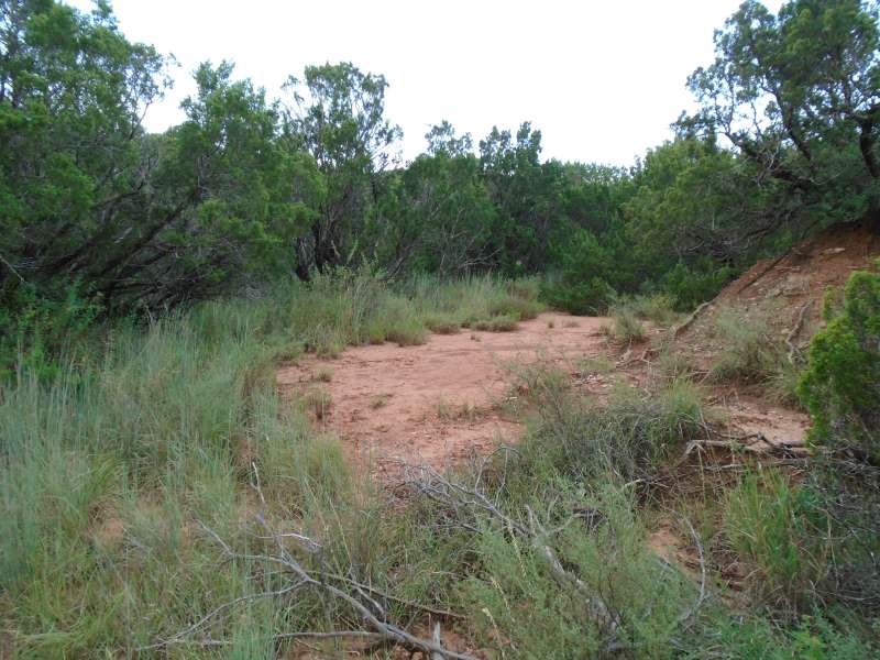  The Primitive Camping Area. 
