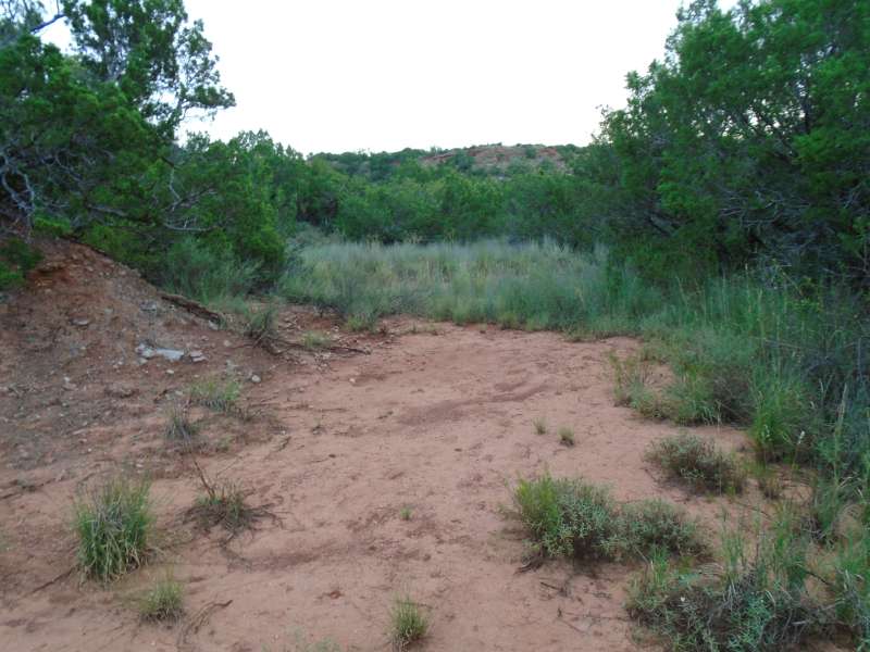 The Primitive Camping Area. 