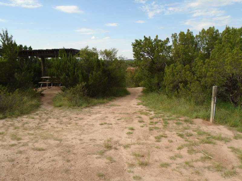 Site #5 in the Group Camp.  