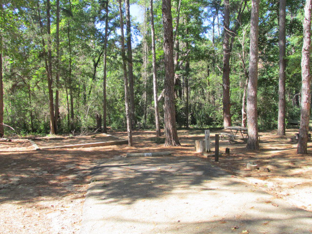 Mountain View area - site #40