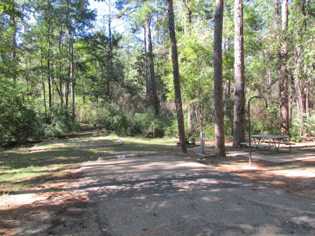 Mountain View area - site #37