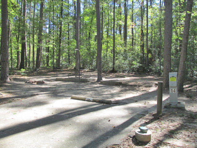 Dogwood area - site #14
