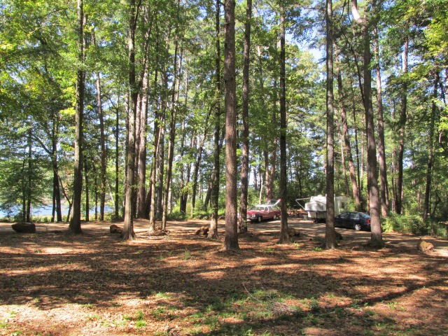 Dogwood Camping Area lakeside campsite