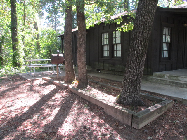 Picnic table and grill beside the cabin.
