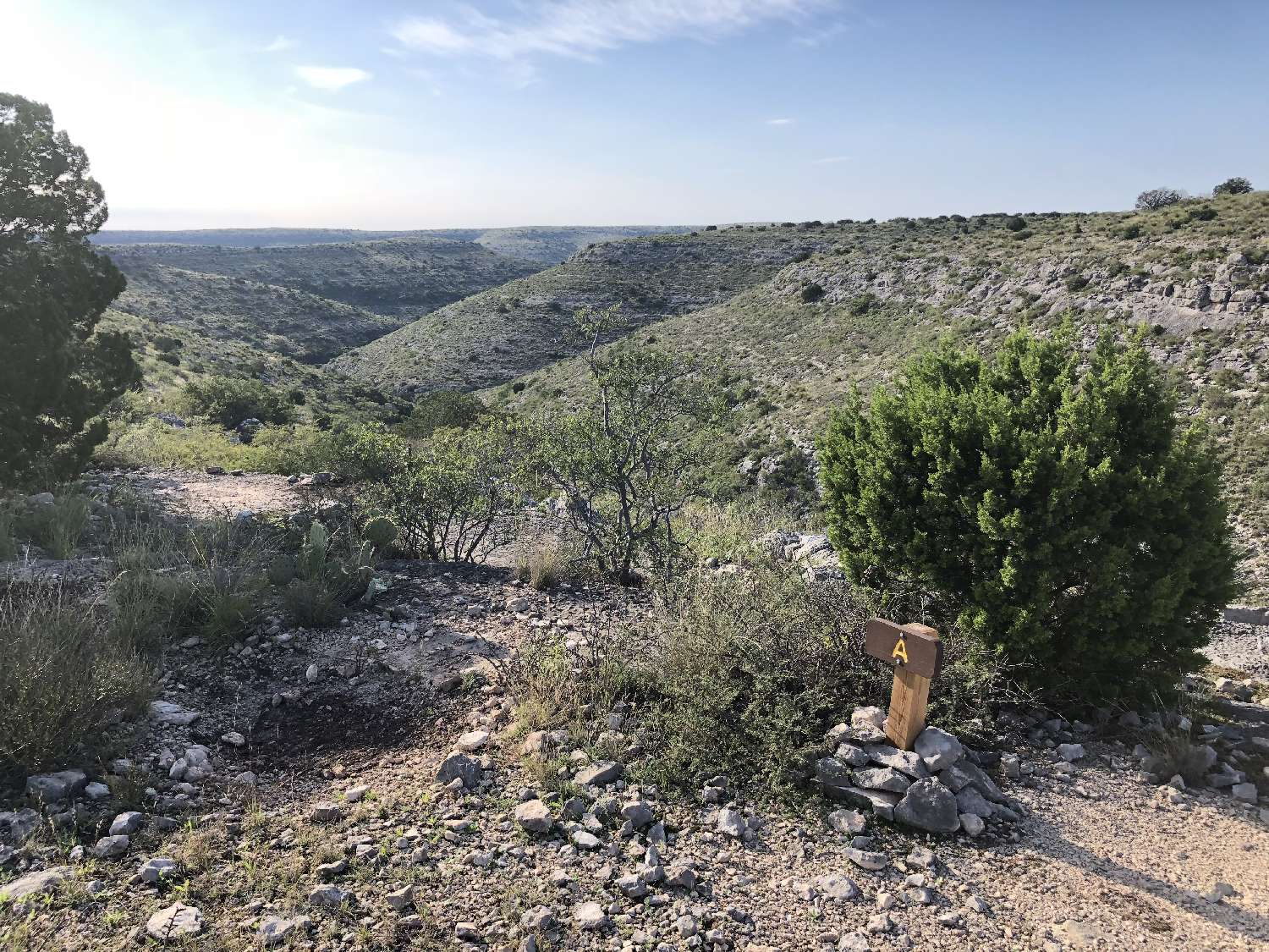 Site A.