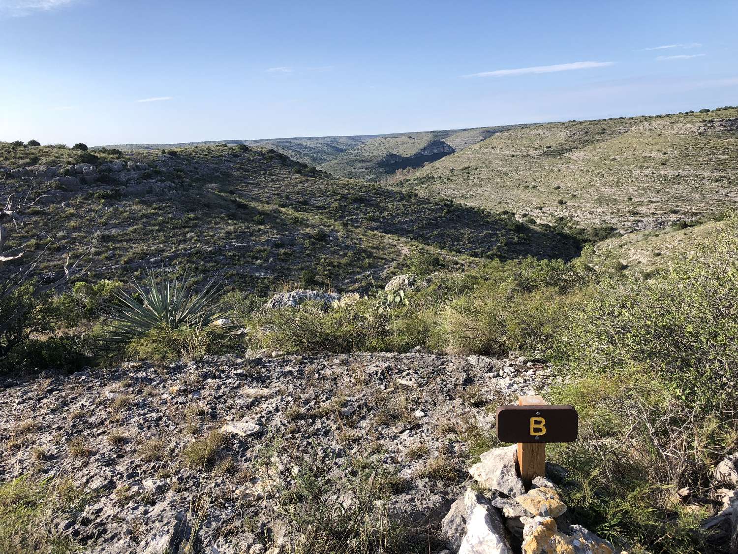 Site B