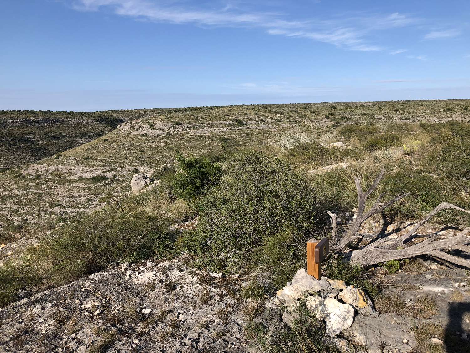 Site B