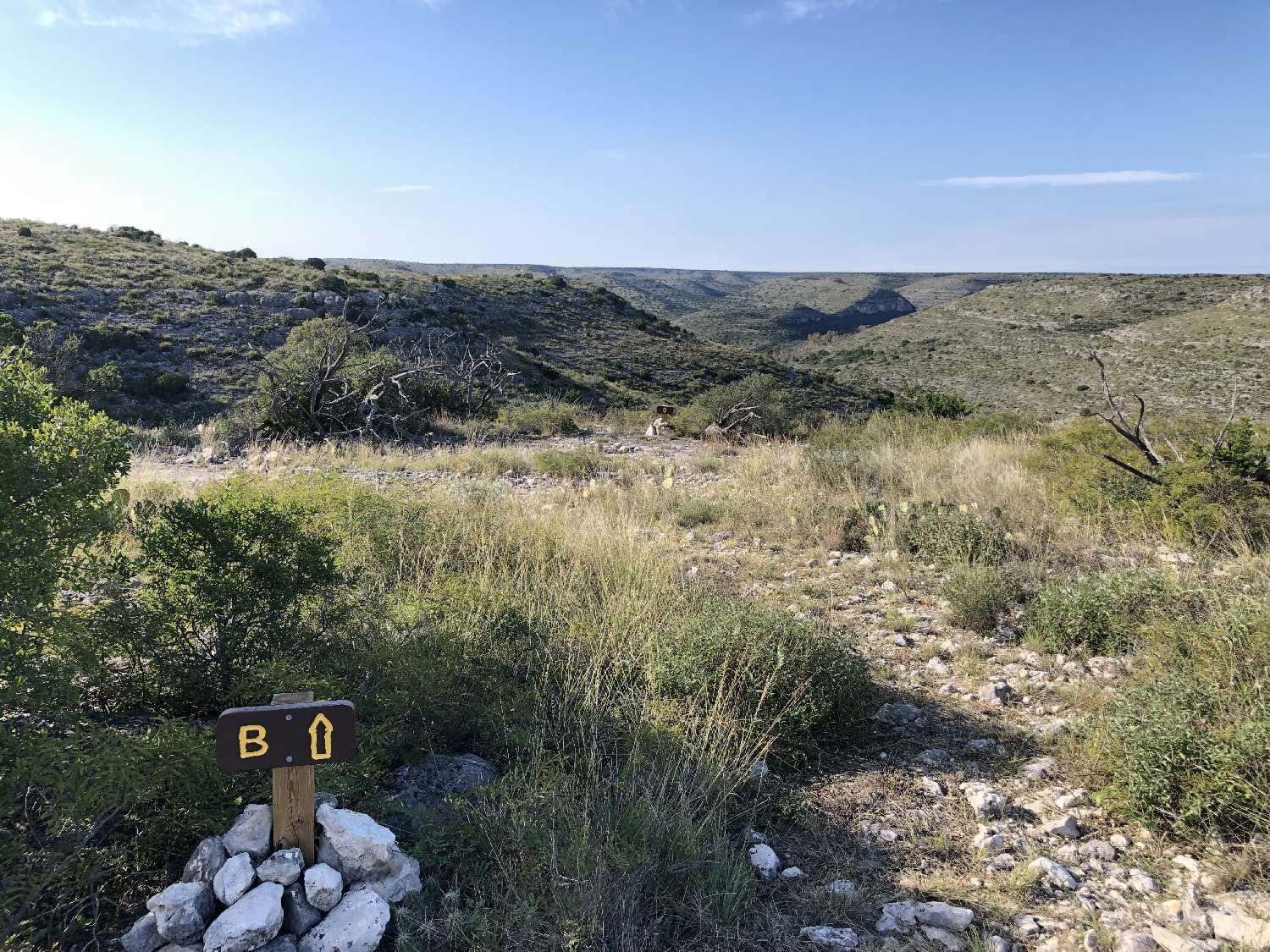 Site B