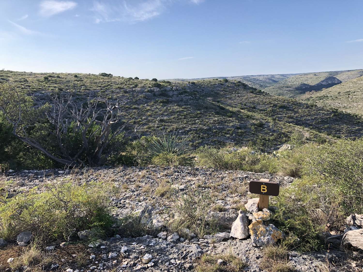 Site B