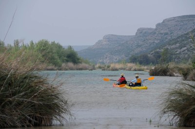 Kayakers on the river