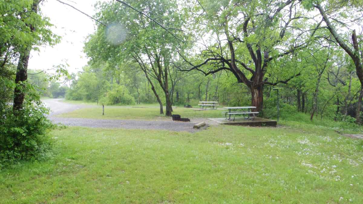 Eisenhower State Park Basic Campsites (Water Only) — Texas ...