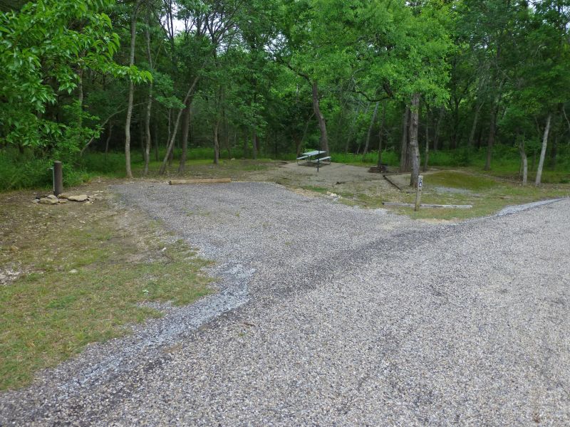 Campsite #54 in the Armadillo Hill area.