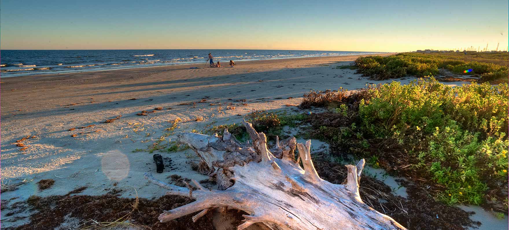  Galveston Island State Park Texas Parks Wildlife 