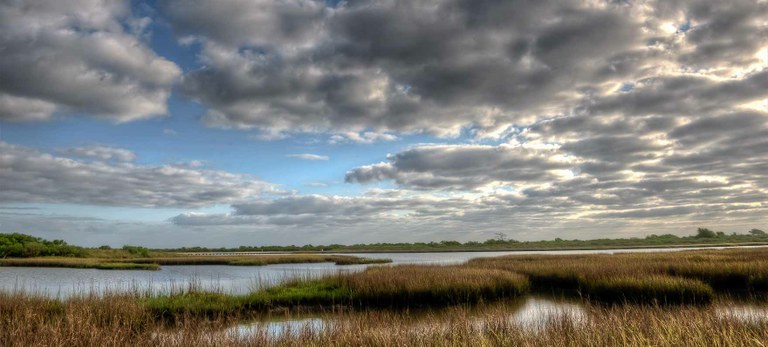 Marsh and sky