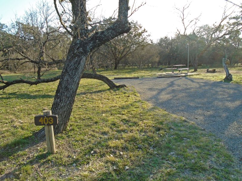 Campsite #403