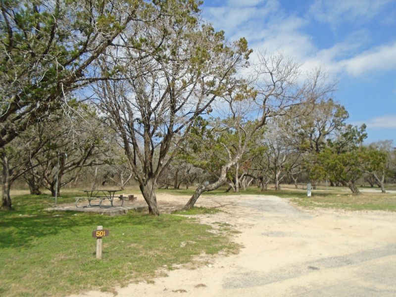 Campsite #501