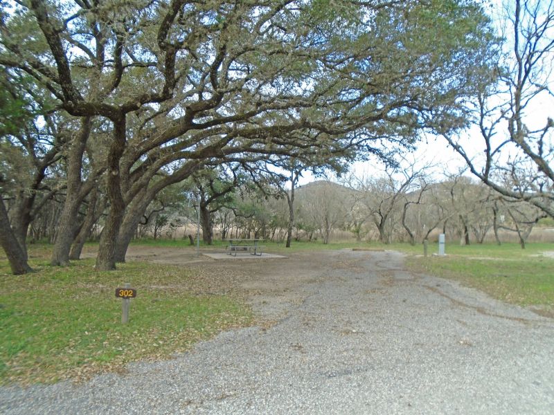 Campsite #302 in Live Oak