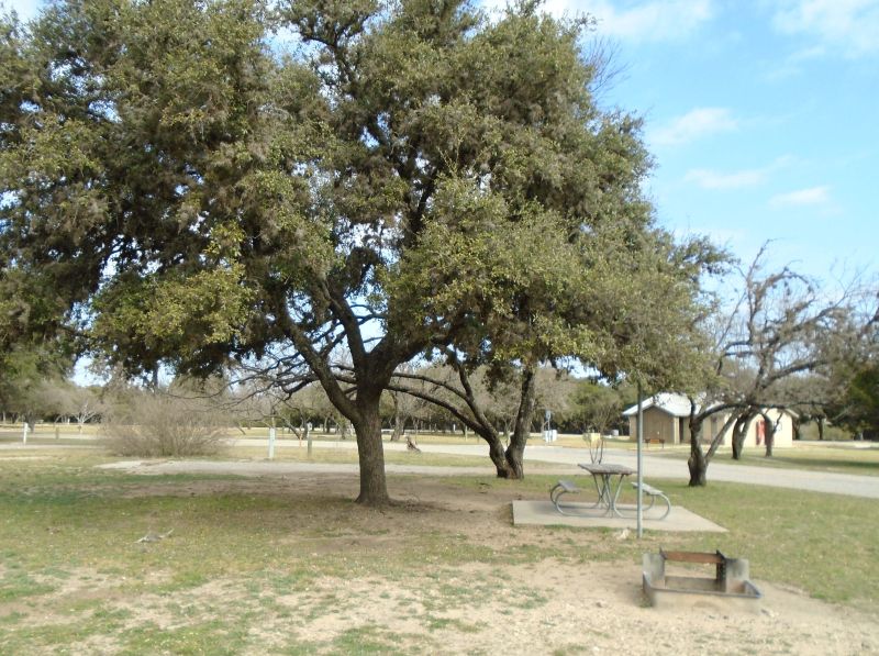 Campsite #314 in Live Oak